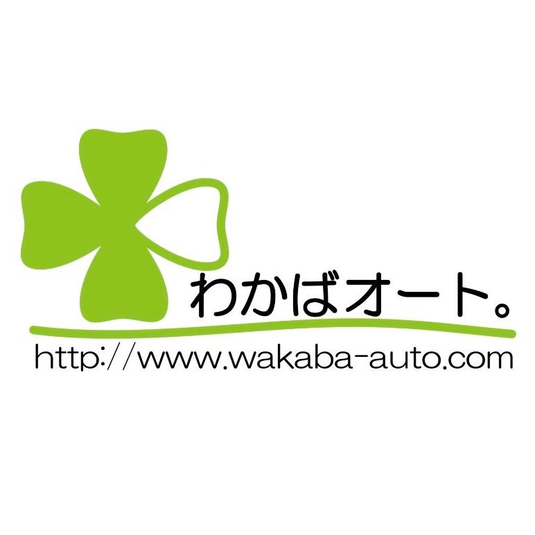 コンパウンド　車　傷　これ一本　コンパウンド　鏡面仕上げ　簡単　磨き　艶出し　menzerna　ONE STEP POLISH 3in1｜wakabaautocom｜06