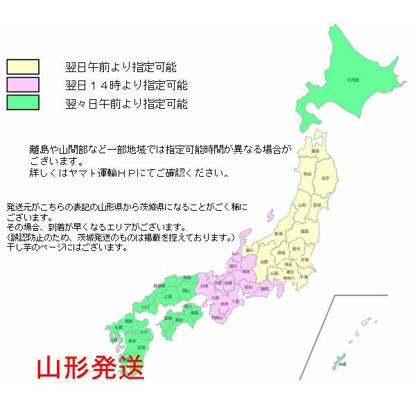 みずの実 500g 秋の山菜 国産 天然 採りたてを産直 ミシュラン3つ