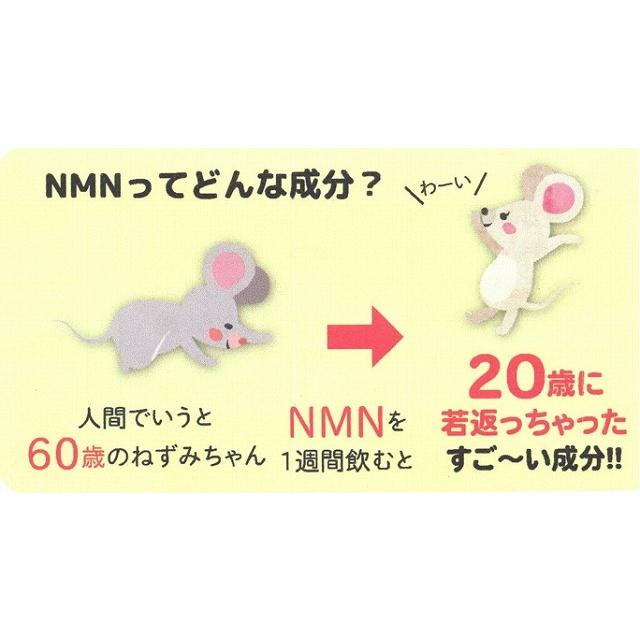 すごい若人　じゃくじん（2024年1月新発売）【全国送料無料】若返りの成分NMN配合　62粒　銀座まるかん｜wakagaerihonpo｜09