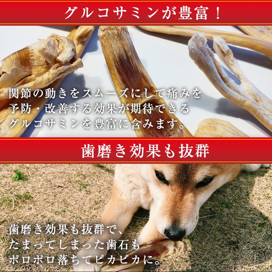 馬アキレス 1kg 〔200g ×5パック〕 ペット用 馬肉 犬 おやつ 馬