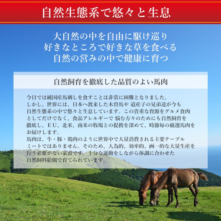 馬刺し ヘルシー赤身 200g 4人前 馬肉 父の日 おつまみ 馬刺 赤身 父の日ギフト 食べ物 食品 プレゼント 父親 誕生日 父 贈り物 冷凍 爆買 |  | 16