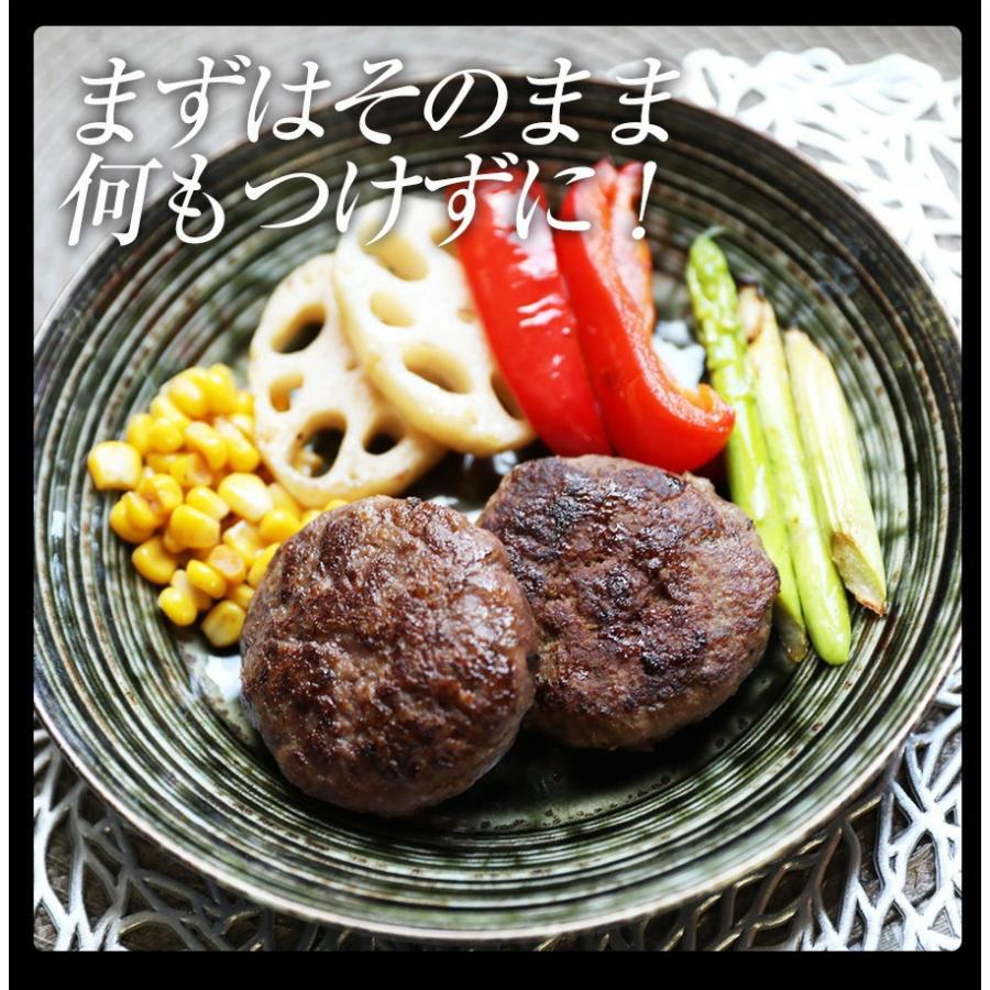 ヘルシー 馬肉 ハンバーグ 30個 〈1個＝約80g〉 ダイエット中でもヘルシーハンバーグ 馬 肉 馬肉ハンバーグ お取り寄せ お歳暮 誕生日 ギフト｜wakamaru｜11