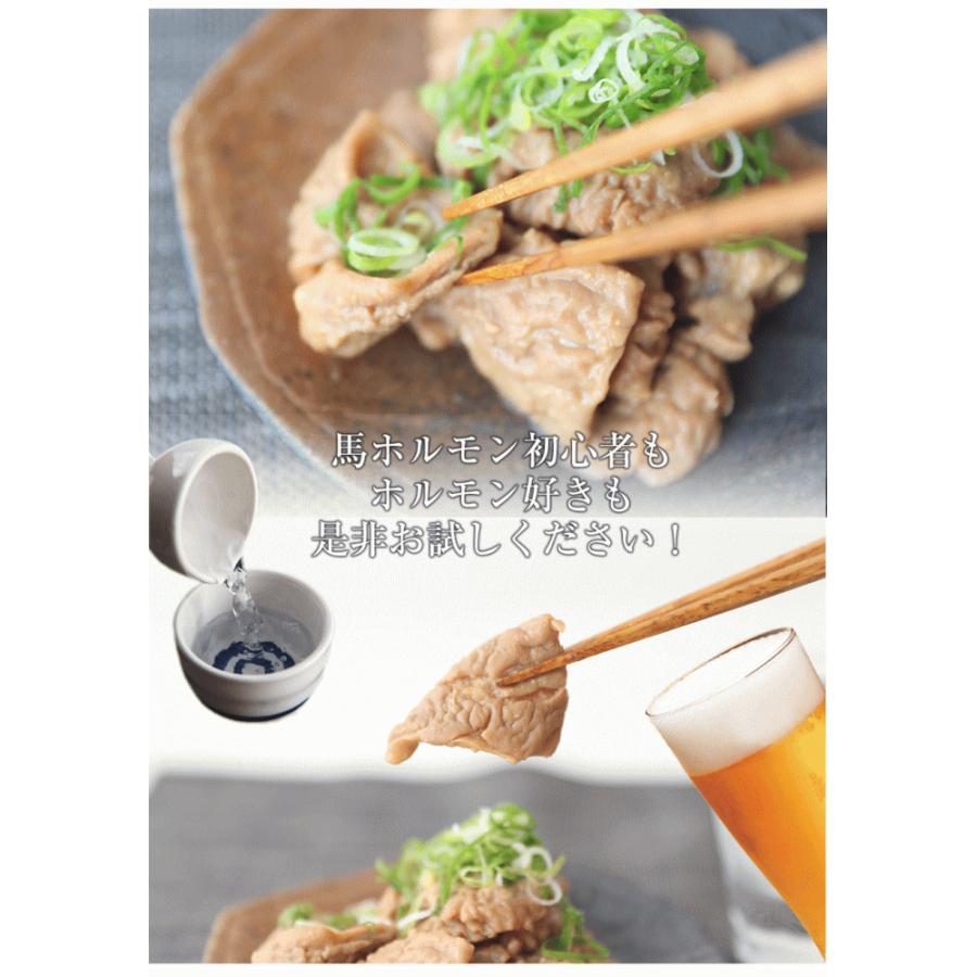 馬ホルモン味噌煮 1kg もつ煮 モツ煮 おたぐり 馬 馬肉 もつ煮込み ほるもん 内臓 馬モツ 馬もつ おつまみ 信州 郷土料理