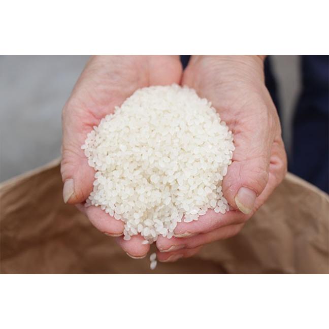 相馬の兵糧セット（福島県令和六年産新米コシヒカリ５kg　濃口醤油＆だし醤油各１リットル　相馬田舎味噌２kg） |  | 02