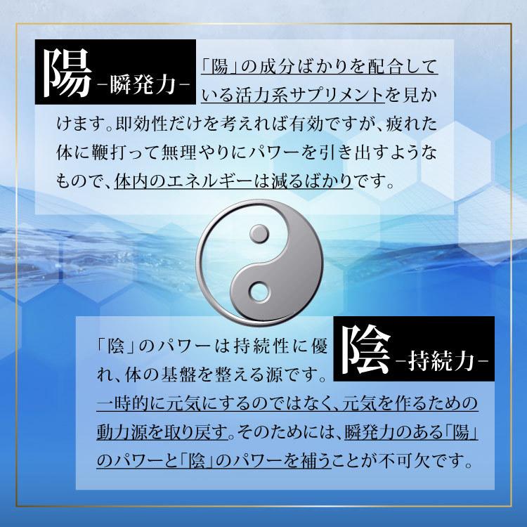 亀鹿二仙湯(約1ヵ月分)和漢SINCA 公式 強くする みなぎる 亀鹿二仙湯(約1ヵ月分)和漢SINCA 公式 強くする みなぎる