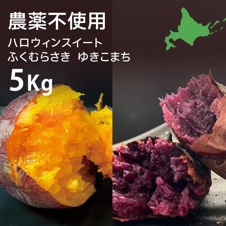 さつまいも 5kg 農薬不使用 ハロウィンスイート ふくむらさき ゆき