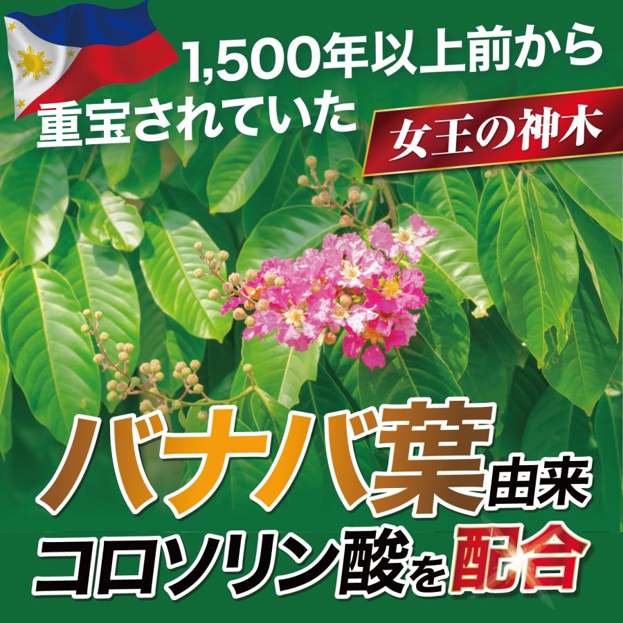 和漢の森 血糖値 食後血糖 空腹時血糖値 下げる バナバ サプリ 和漢の森 血糖値 食後血糖 空腹時血糖値 下げる バナバ サプリ