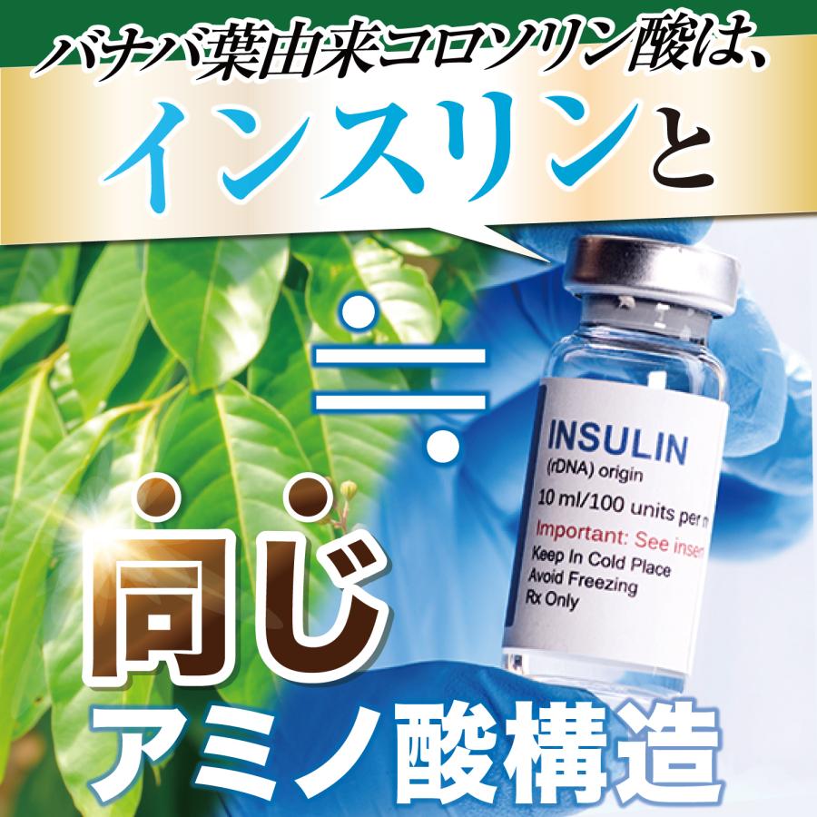 和漢の森 血糖値 食後血糖 空腹時血糖値 下げる バナバ サプリ 和漢の森 血糖値 食後血糖 空腹時血糖値 下げる バナバ サプリ
