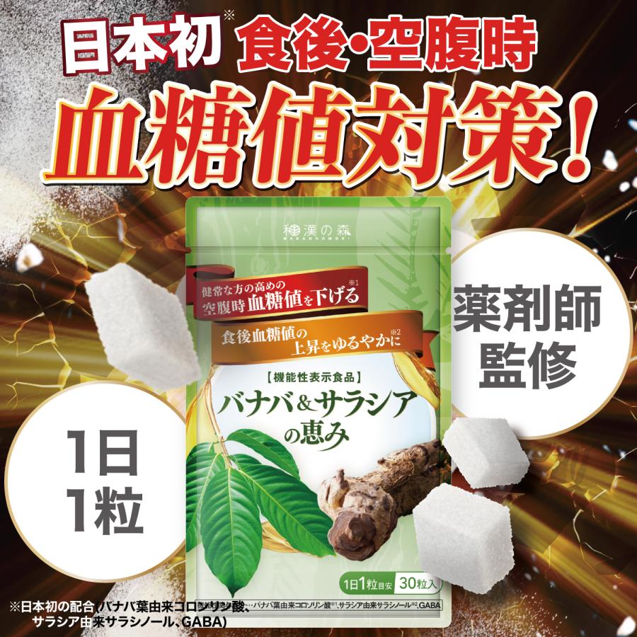 和漢の森 【2袋セット】血糖値 食後血糖 空腹時血糖値 下げる 和漢の森 【2袋セット】血糖値 食後血糖 空腹時血糖値 下げる