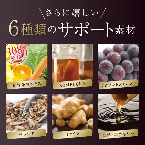 あお季の杜 ダイエット サプリ ブラックジンジャー 腸活 腸内環境