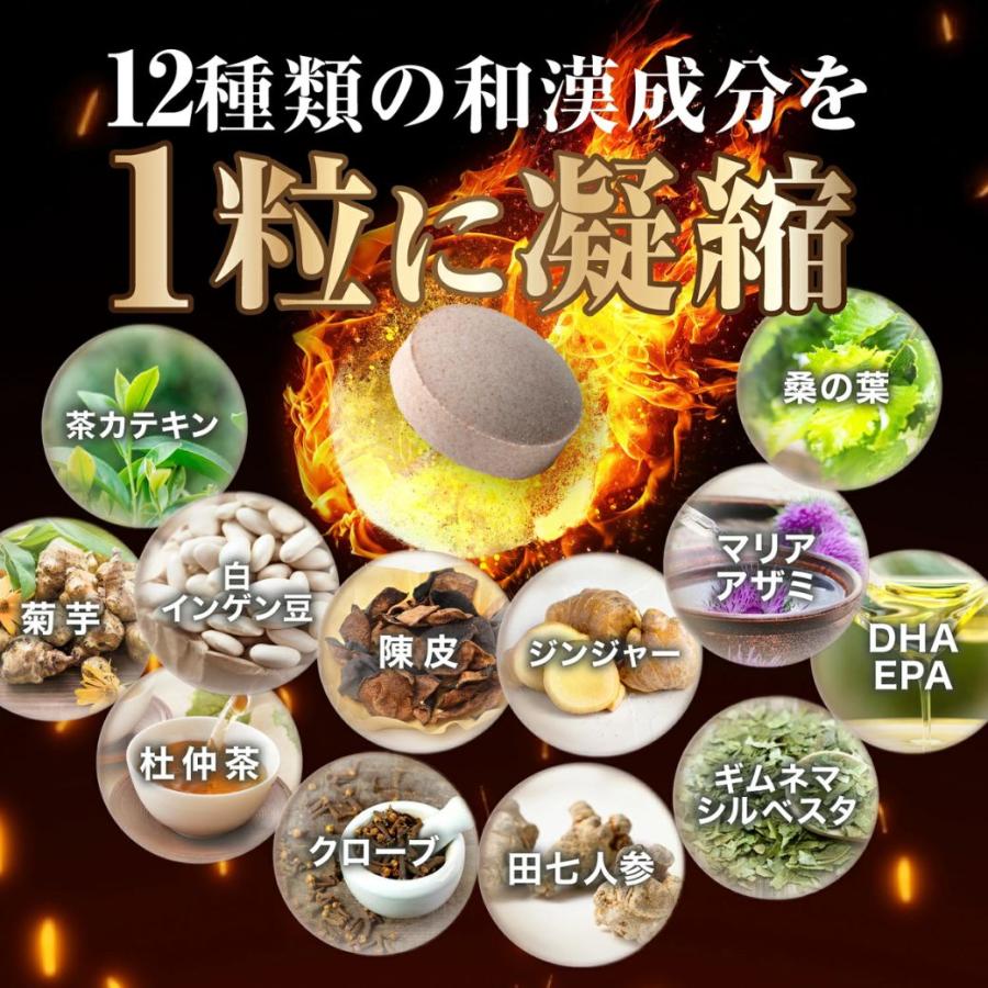 和漢の森 ダイエット サプリ 中性脂肪 サプリメント チャカサポニン 体
