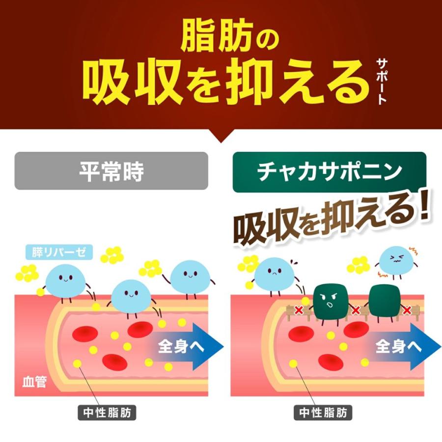 和漢の森 ダイエット サプリ 中性脂肪 サプリメント チャカサポニン 体