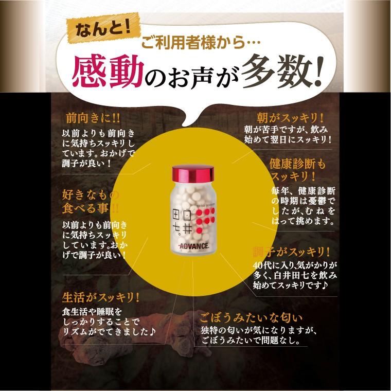 白井田七 240粒 瓶タイプ 田七人参 サポニン ジンセノサイド 高麗人参