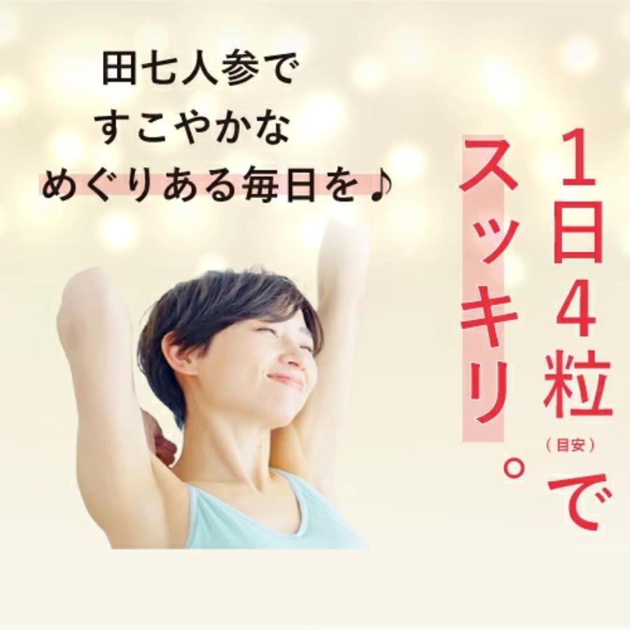 白井田七 240粒 瓶タイプ 田七人参 サポニン ジンセノサイド 高麗人参