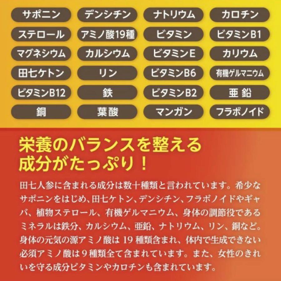 白井田七 240粒 瓶タイプ 田七人参 サポニン ジンセノサイド 高麗人参