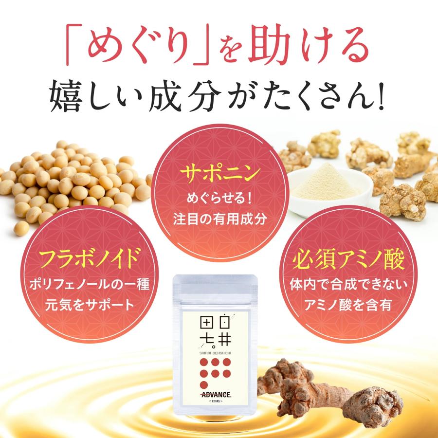 白井田七 【公式】白井田七 田七人参 高麗人参 サポニン 有機JAS 白井田七 【公式】白井田七 田七人参 高麗人参 サポニン 有機JAS