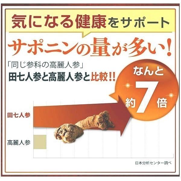 田七人参 白井田七 1粒入り パウチタイプ 2個セット 和漢の森 白井伝七 高麗人参 サポニン 更年期 血糖値 脂肪肝 尿酸値 痛風 肝臓 サプリメント 薬 Dennshiti05 和漢の森 通販 Yahoo ショッピング