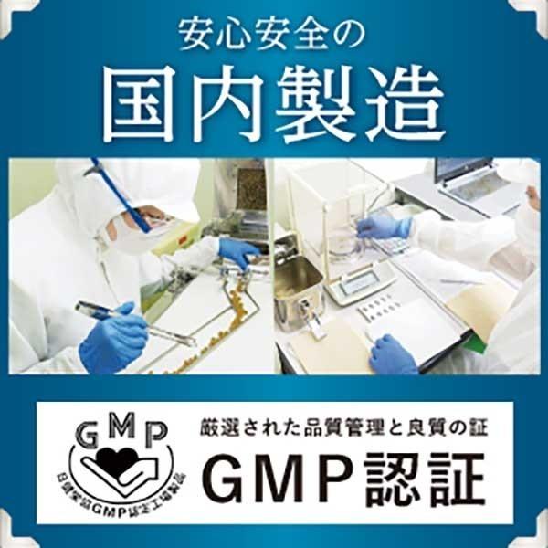 血圧 サプリ LDL コレステロール ストレス 下げる サプリメント オリーブ ギャバ サプリ 悪玉コレステロール オリーブ＆ギャバの恵み 2袋 和漢の森｜wakannomori｜15