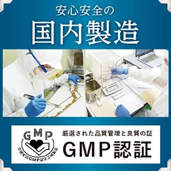 血圧 サプリ LDL コレステロール ストレス 下げる サプリメント オリーブ ギャバ サプリ 悪玉コレステロール オリーブ＆ギャバの恵み 3袋 和漢の森｜wakannomori｜15