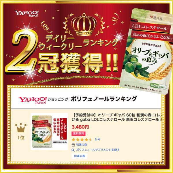 漢方セレクト 和漢の森 オリーブ ギャバ 60粒 2袋 お得です! - apsmo.edu.au 漢方セレクト 和漢の森 オリーブ ギャバ 60粒 2袋 お得です! - apsmo.edu.au