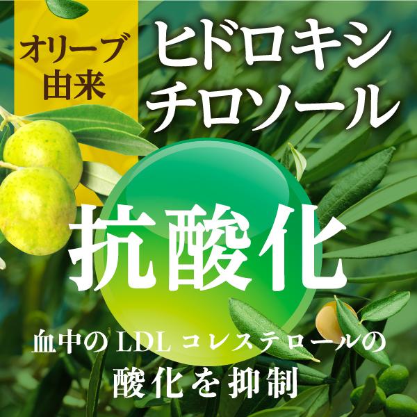 血圧 サプリ LDL コレステロール ストレス 下げる サプリメント オリーブ ギャバ サプリ 悪玉コレステロール オリーブ＆ギャバの恵み 3袋 和漢の森｜wakannomori｜10