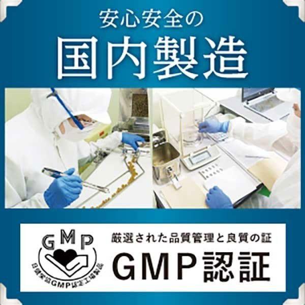 睡眠 サプリ ギャバ サプリ GABA サプリメント ストレス 疲労 休息 ケア 快眠 サポート 安眠 和漢の森 オリーブ＆ギャバの恵み 睡眠薬 ではありません｜wakannomori｜13