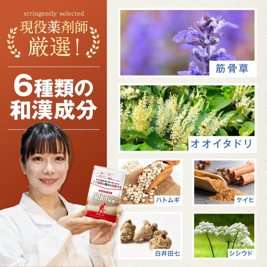 和漢の森 グルコサミン プロテオグリカン 膝 サプリメント II型