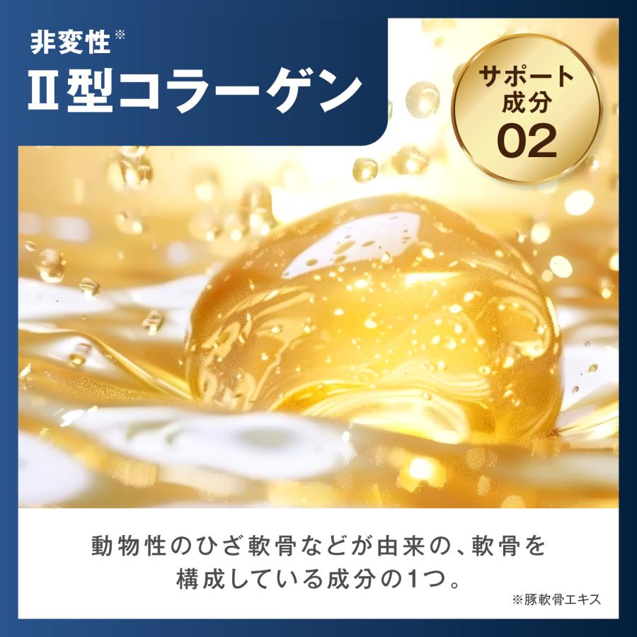 和漢の森 【薬剤師監修】 3袋 グルコサミン プロテオグリカン 膝