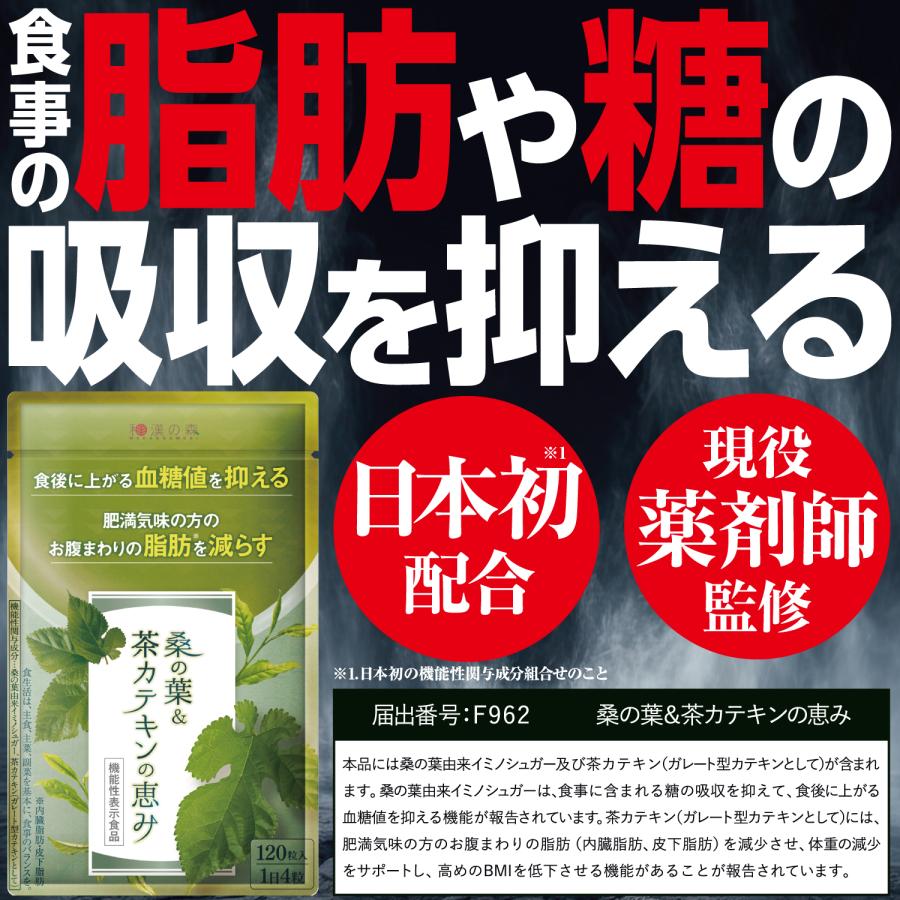 和漢の森 ダイエットサプリ ダイエット 皮下脂肪 内臓脂肪 血糖 和漢の森 ダイエットサプリ ダイエット 皮下脂肪 内臓脂肪 血糖