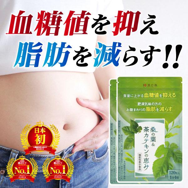 ダイエットサプリ 血糖値 サプリ ダイエット サプリ 内臓脂肪 桑の葉 茶 カテキン サラシア イヌリン 食後血糖値 サプリメント 桑の葉&茶カテキンの恵み 2袋 の商品画像