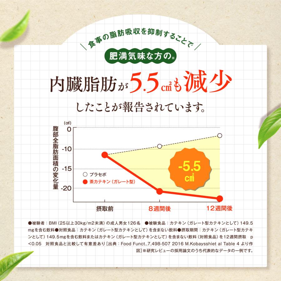 ダイエット サプリ 皮下脂肪 内臓脂肪 血糖値 下げる サプリメント 燃焼 痩せる 低下 茶カテキン 桑の葉＆茶カテキンの恵み 和漢の森 2袋｜wakannomori｜11