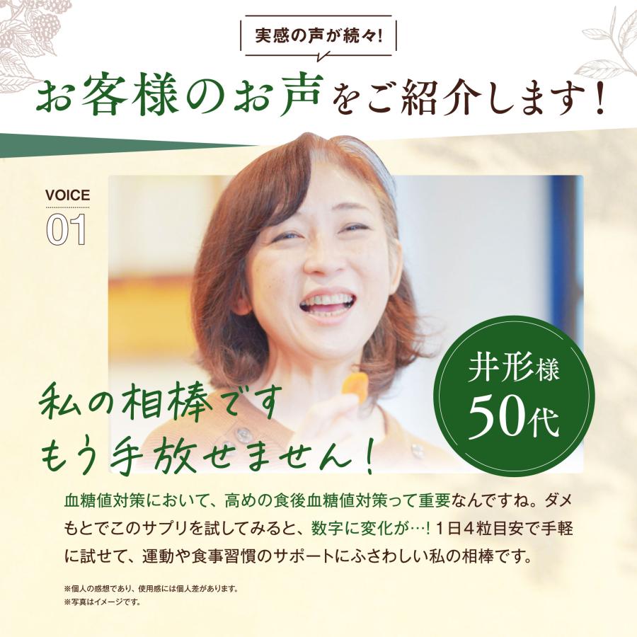 和漢の森 【公式】ダイエット 皮下脂肪 内臓脂肪 血糖値 下げる 和漢の森 【公式】ダイエット 皮下脂肪 内臓脂肪 血糖値 下げる