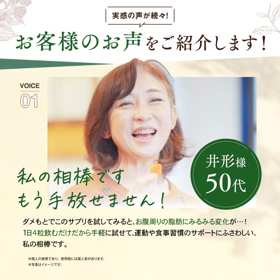 和漢の森 【公式】ダイエット 皮下脂肪 内臓脂肪 血糖値 下げる 和漢の森 【公式】ダイエット 皮下脂肪 内臓脂肪 血糖値 下げる