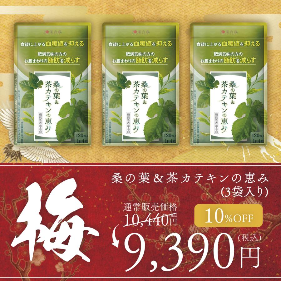 和漢の森 【福袋】ダイエットサプリ 血糖値 下げる サプリ ダイエット