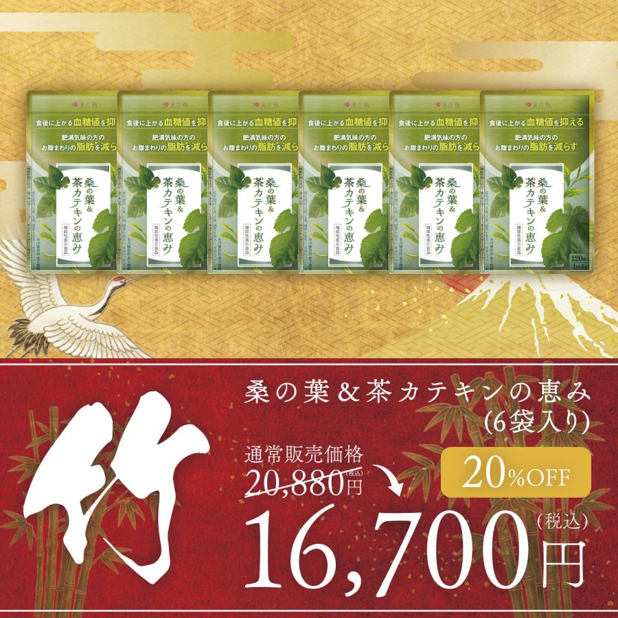 和漢の森 【福袋】ダイエットサプリ 血糖値 下げる サプリ ダイエット