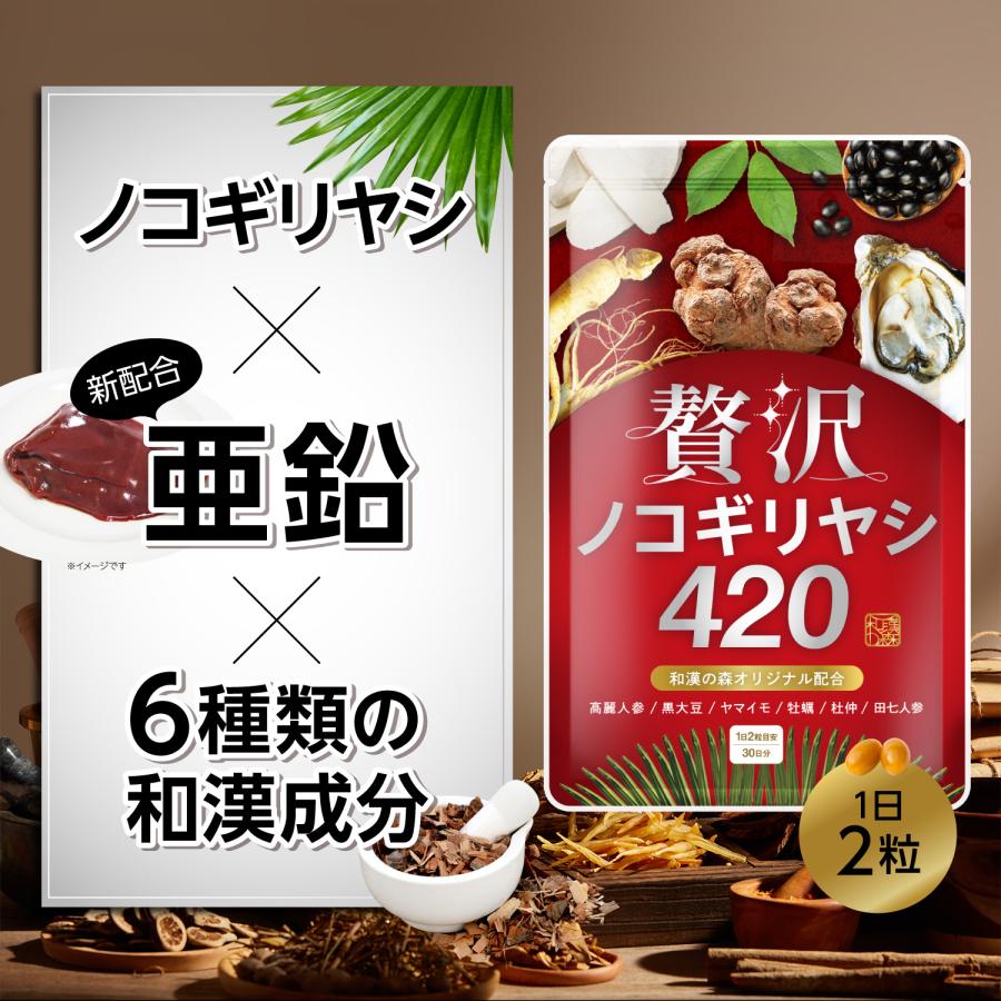 和漢の森 贅沢ノコギリヤシ420 30日分×4袋 360粒 サプリ 贅沢ノコギリヤシ420｜和漢の森