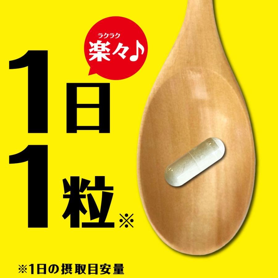 尿酸値 を 下げる サプリ 尿酸 ルテオリン アンセリン 田七人参 高麗人参 尿酸ケア習慣 プリン体 サポニン サプリメント 機能性表示食品 和漢の森｜wakannomori｜11