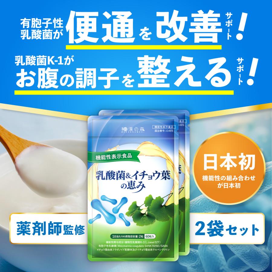 和漢の森 乳酸菌 サプリ 便通 腸活 腸内環境 睡眠 イチョウ葉 判断力