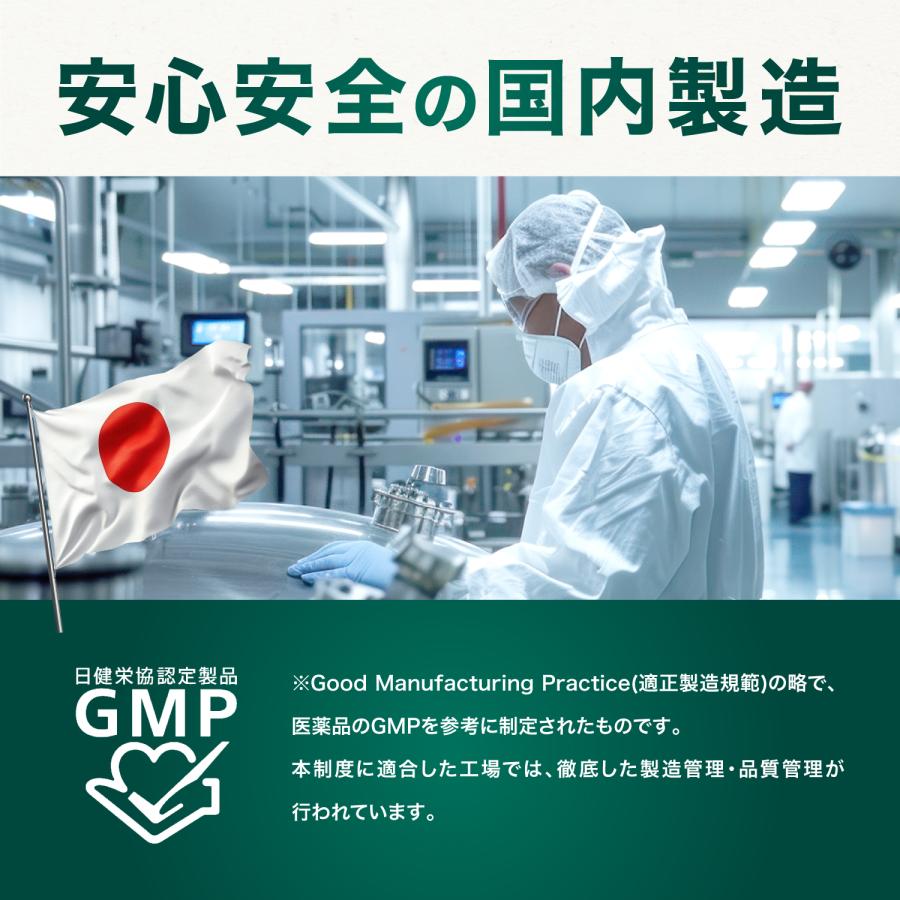 【薬剤師監修】スルフォラファン 肝機能 サプリ 肝臓 エキス ギャバ gyaba alt ALT値 血圧 下げる スルフォラファン&ギャバの恵み 6袋 | 和漢の森 | 13