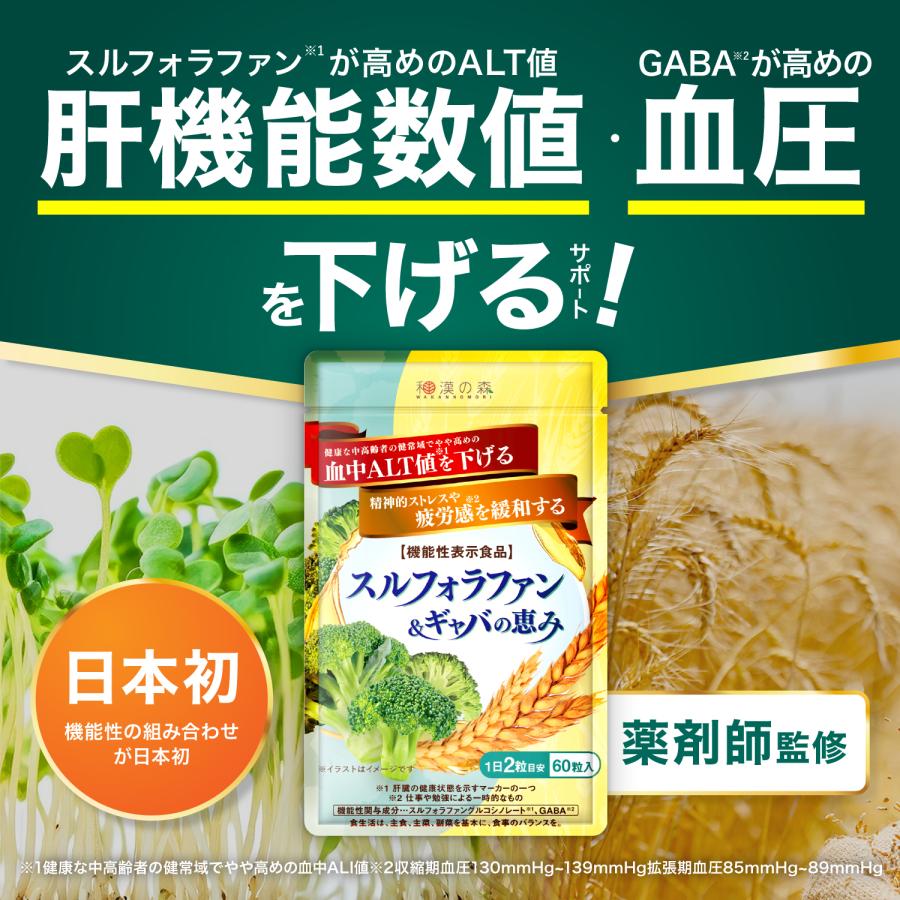 【薬剤師監修】スルフォラファン 肝機能 サプリ 肝臓 エキス ギャバ gyaba alt ALT値 血圧 下げる スルフォラファン&ギャバの恵み 6袋 | 和漢の森 | 01
