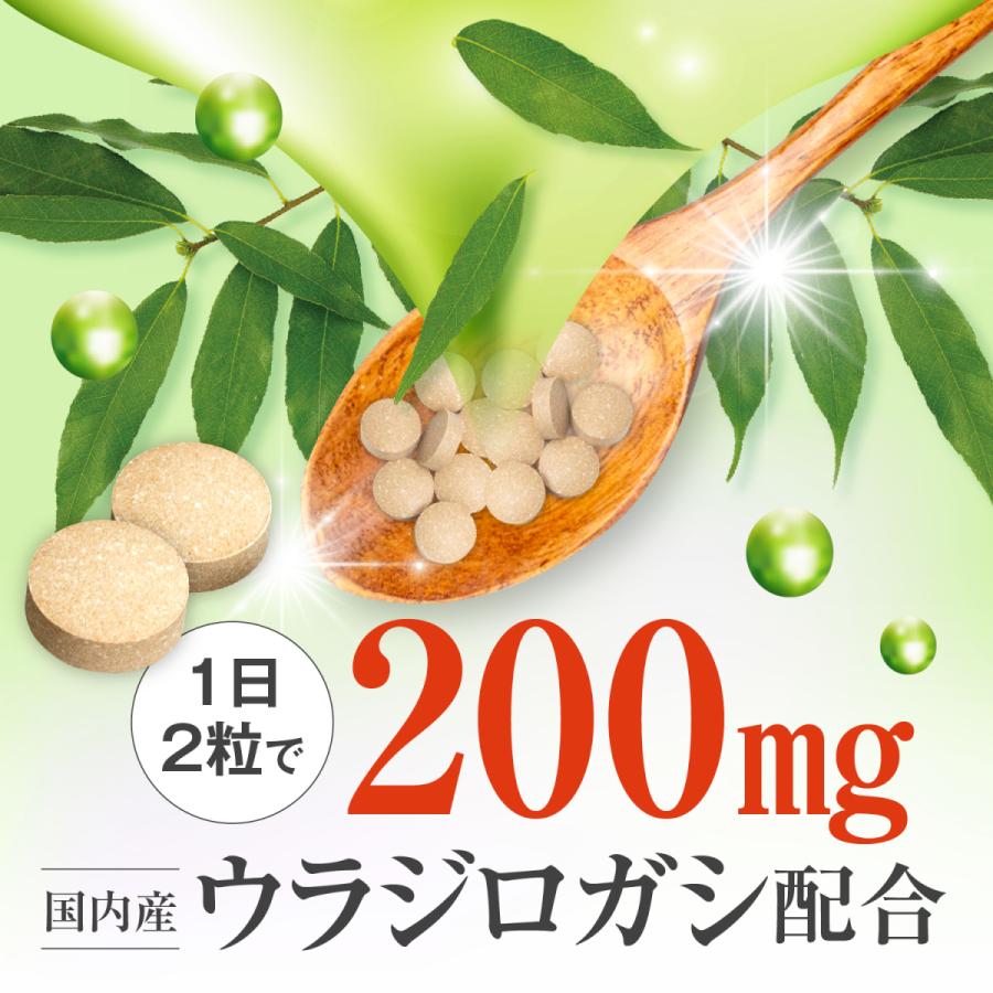 和漢の森 【薬剤師監修】ウラジロガシ サプリ サプリメント 贅沢
