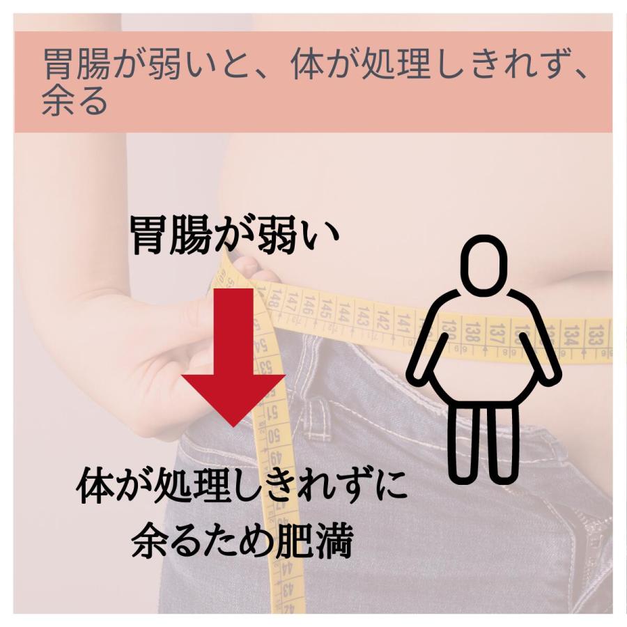 漢方薬 むくみの薬 防已黄耆湯 エキス錠 錠剤 むくみ 多汗症 肥満症 約20日分 X ４個 肥満 水ぶとり 第２類医薬品 漢方薬