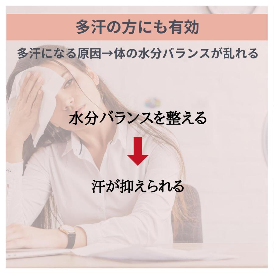 漢方薬 むくみの薬 防已黄耆湯 エキス錠 錠剤 むくみ 多汗症 肥満症 約20日分 X ４個 肥満 水ぶとり 第２類医薬品 漢方薬