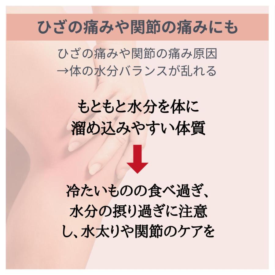 漢方薬 むくみの薬 防已黄耆湯 エキス錠 錠剤 むくみ 多汗症 肥満症 約20日分 X ４個 肥満 水ぶとり 第２類医薬品 漢方薬