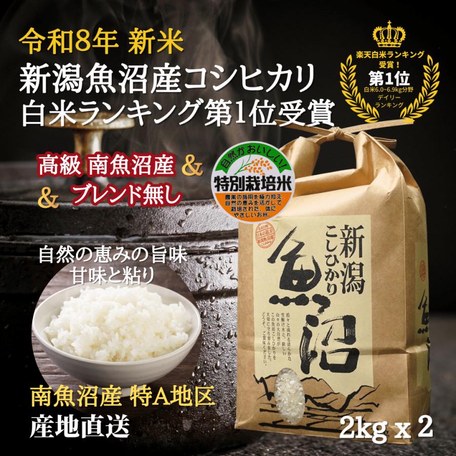 魚沼産コシヒカリ 新米 令和7年 4kg 【2KG X 2袋】 【白米】 特別栽培 