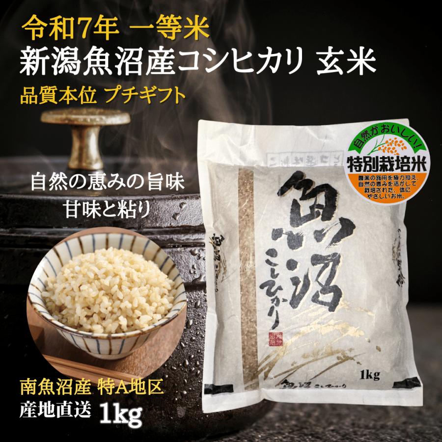 魚沼産コシヒカリ 新米 【玄米】 1kg 令和7年 特別栽培米 産地直送 