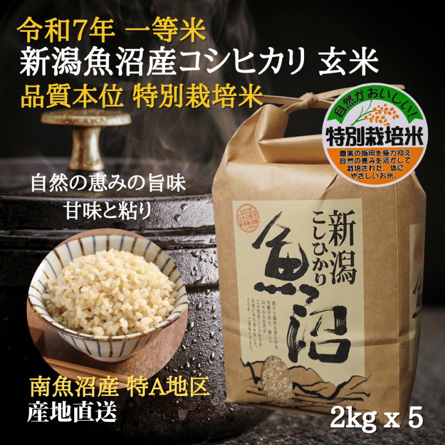 魚沼産コシヒカリ 新米 令和7年 特別栽培米 【玄米】 10kg 【2kgX5袋 