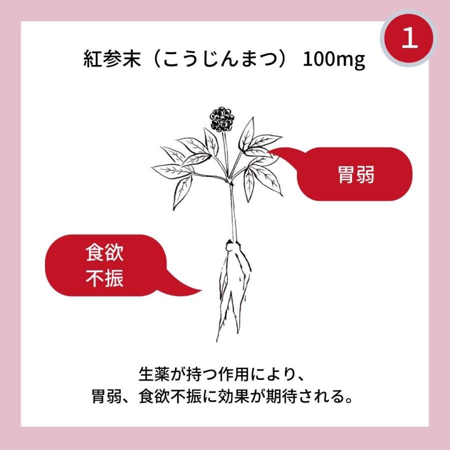 最大10％お得！ 市販薬 胃薬 市販 和漢 たんとらがん18%off！お試し 和漢 膽肚羅丸 初回限定 8包 胃もたれ 食欲不振 二日酔い 第３類医薬品 漢方 処方 胃腸薬｜wakantantragan-honpo｜12