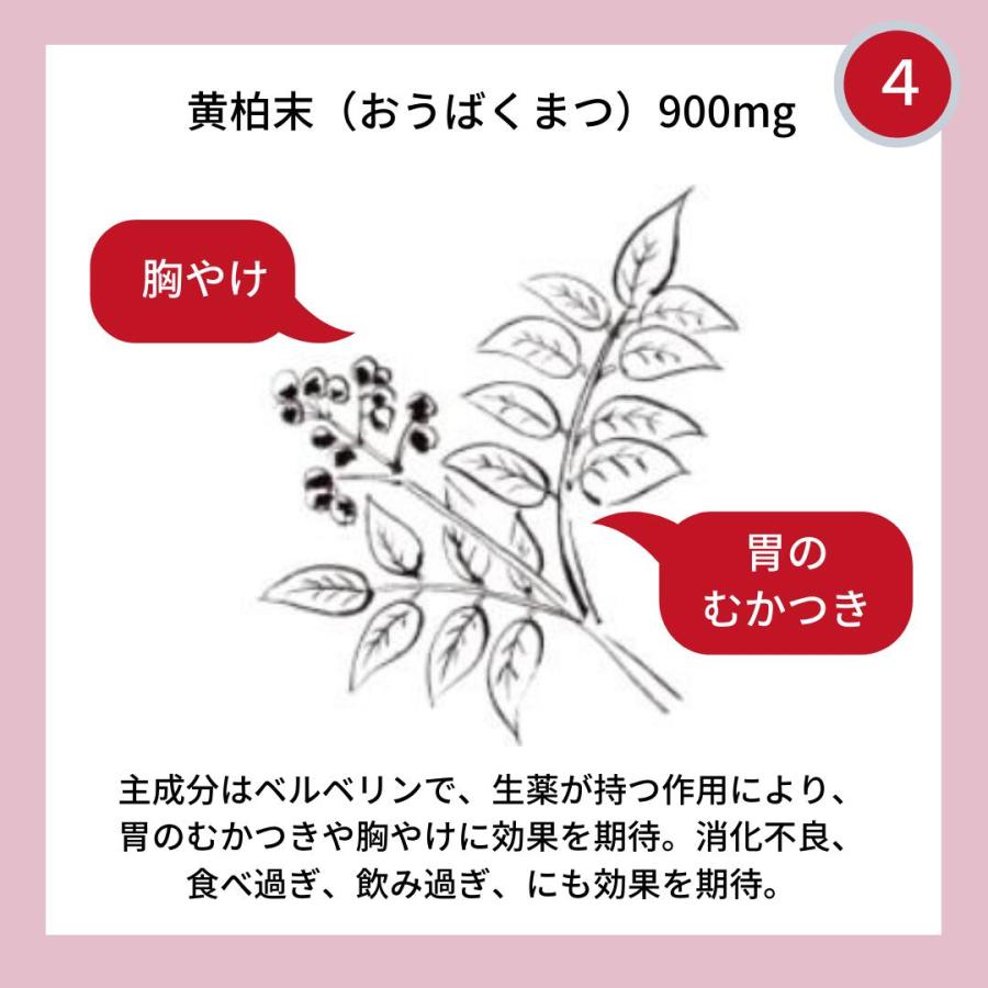 市販薬 胃薬 市販 和漢 たんとらがん 和漢 膽肚羅丸 60包胃弱 胃もたれ 胸やけ 消化不良 食欲不振 二日酔い 第３類医薬品 漢方 処方 胃腸薬｜wakantantragan-honpo｜15