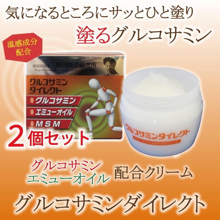 野口医学研究所 グルコサミンダイレクト 85g 2個セット 塗る